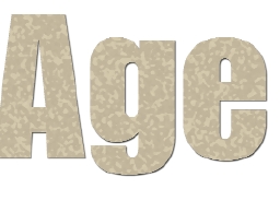 CAMO copy.jpg